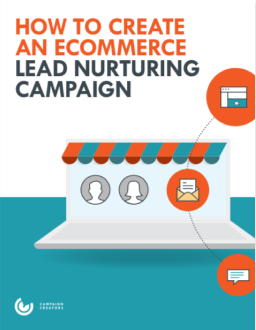 Ecommerce Lead Nurturing